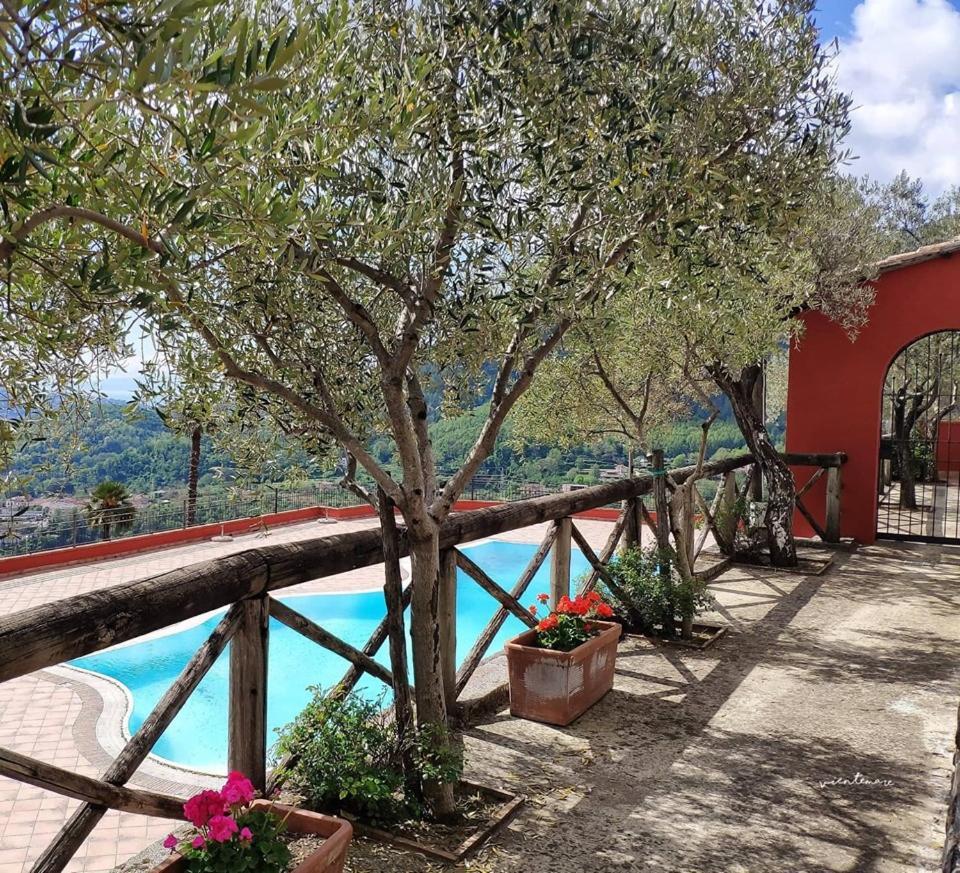 Agriturismo A Casa Di Anna Pellezzano 外观 照片